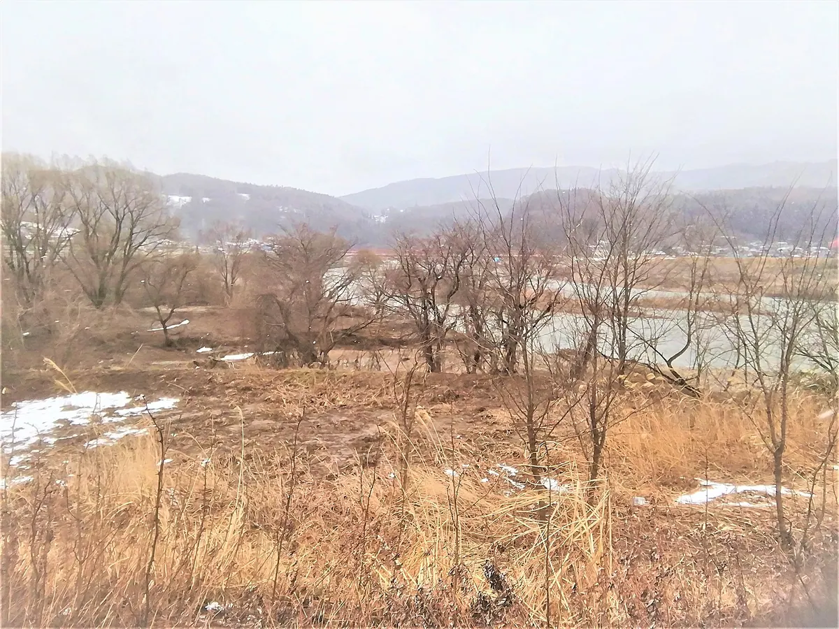 Yanagisawa Site