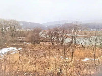 Yanagisawa Site