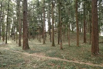 Sasamori Kofun