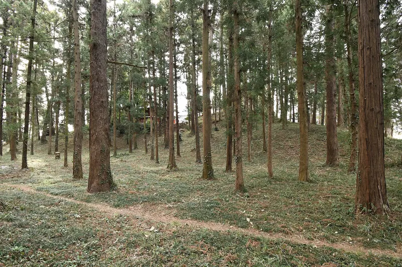 Sasamori Kofun