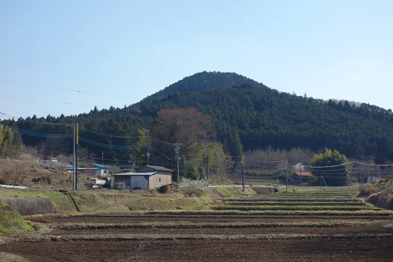Mount Hagafuji