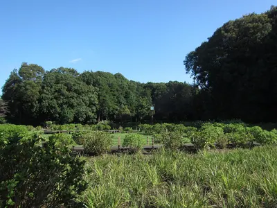 Serizawa Park
