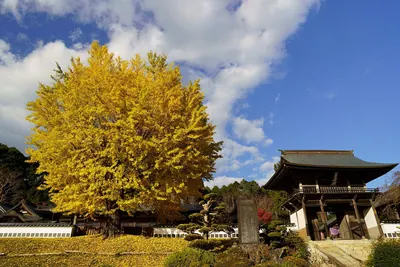 Yakuō-ji Temple