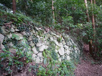 Tachibana Castle