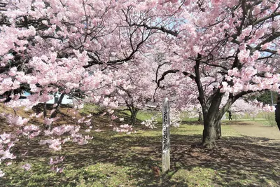 Takanashi Fortified Residence