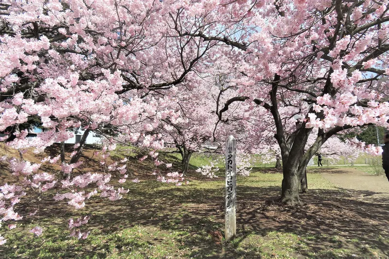 Takanashi Fortified Residence