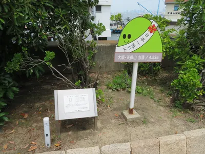 Mount Tenpō