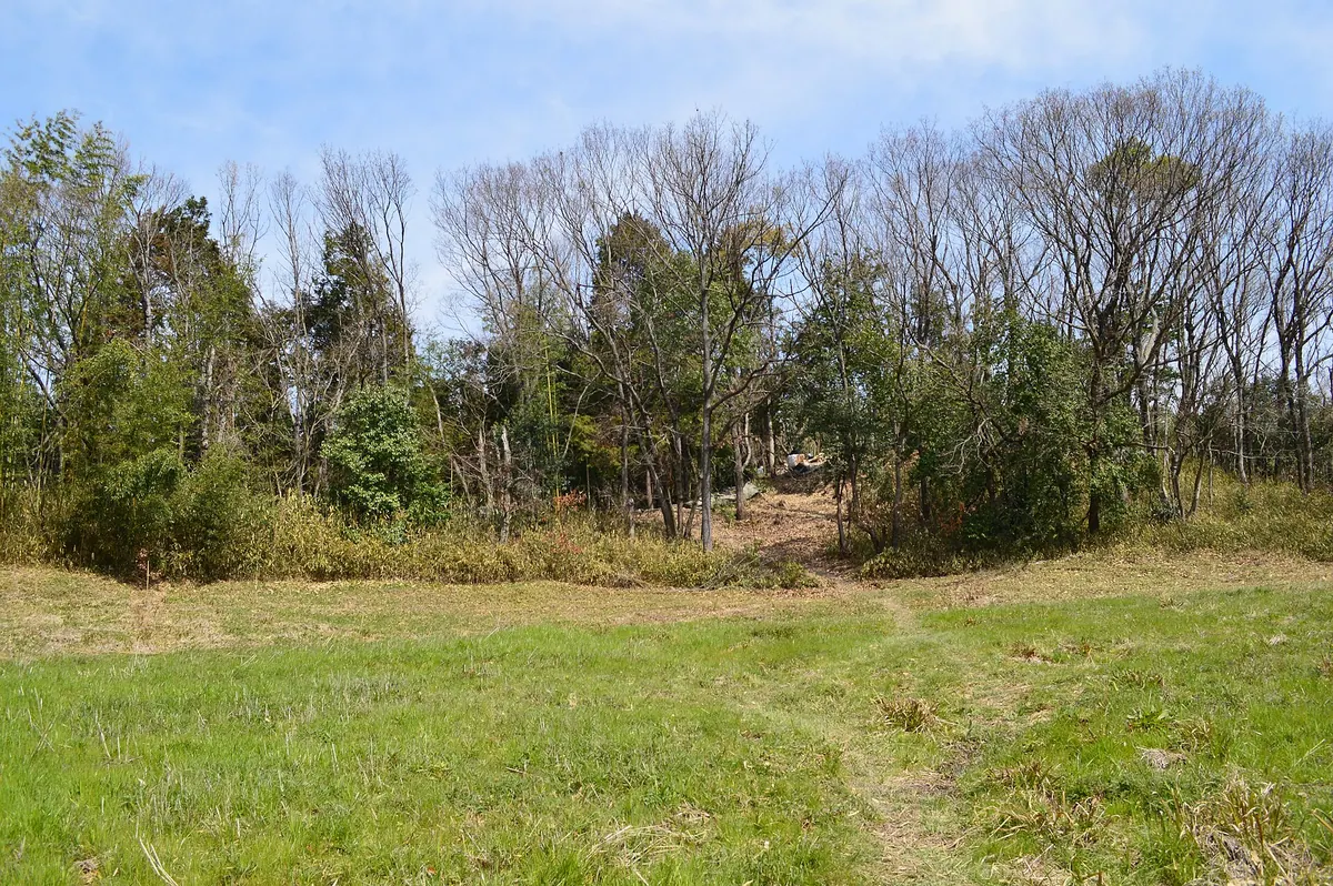 Tsuboi Maruyama Kofun