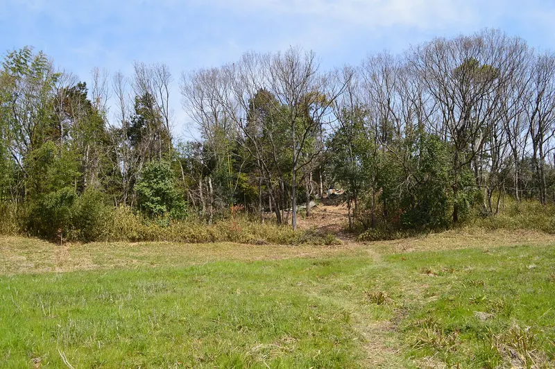 Tsuboi Maruyama Kofun