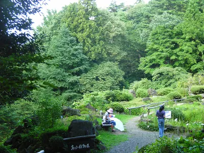 Sendai Wild Plants Garden