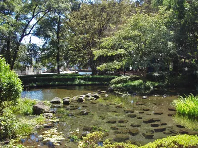 Shirataki Park