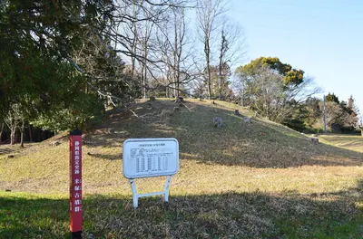 Yonezuka Kofun Cluster