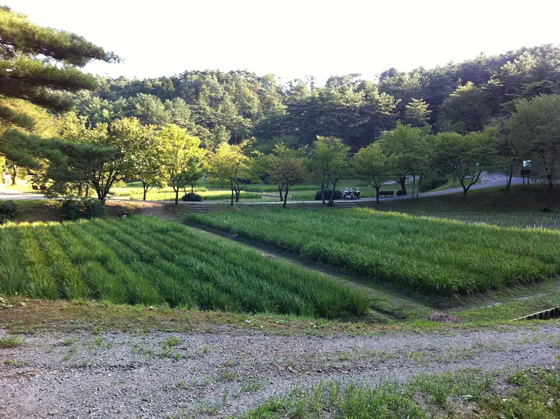 Ijimino Park