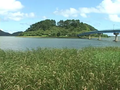 Aoshima Island