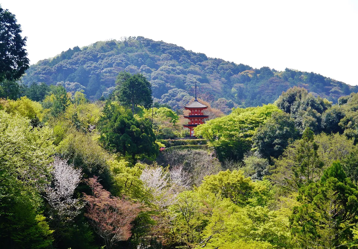 Mount Amidagamine