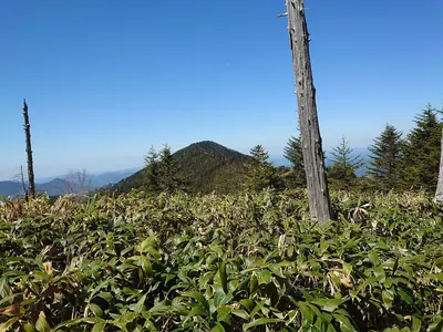 Mount Kurosawa