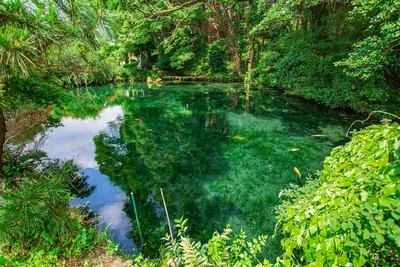 Myōjin Pond Meisui Park