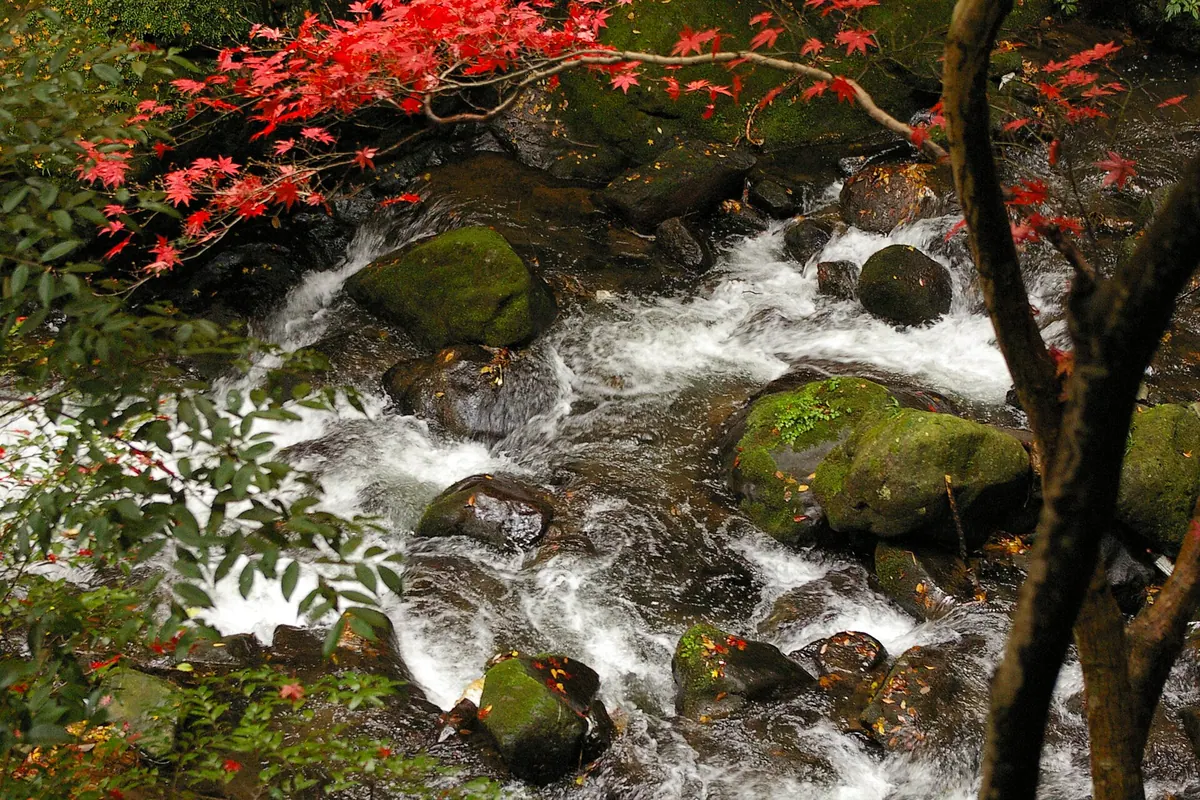 Man'yō Park (Yugawara)