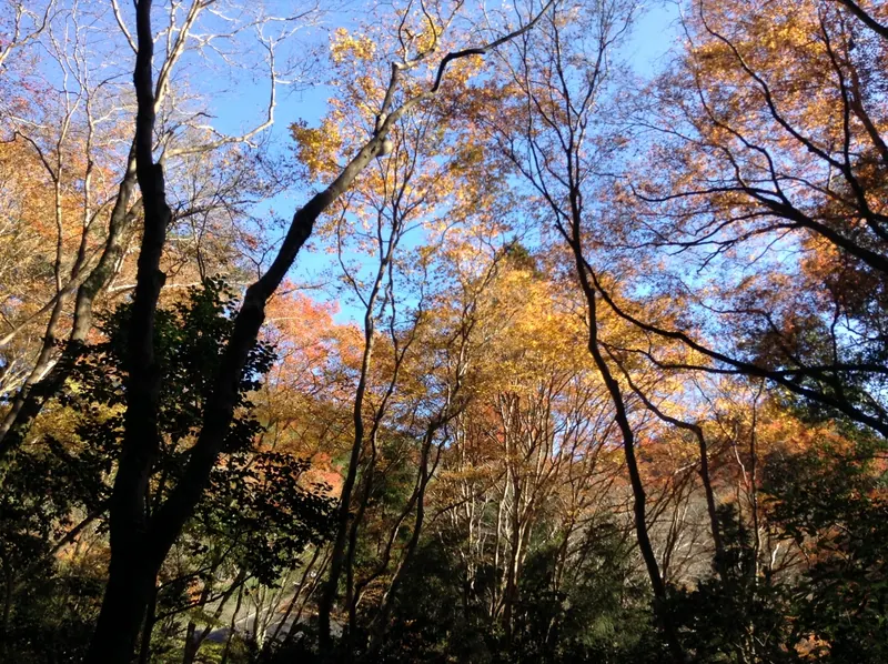 Kōzan-ji Temple