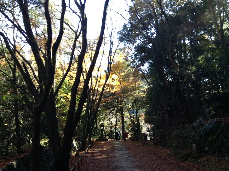 Kōzan-ji Temple