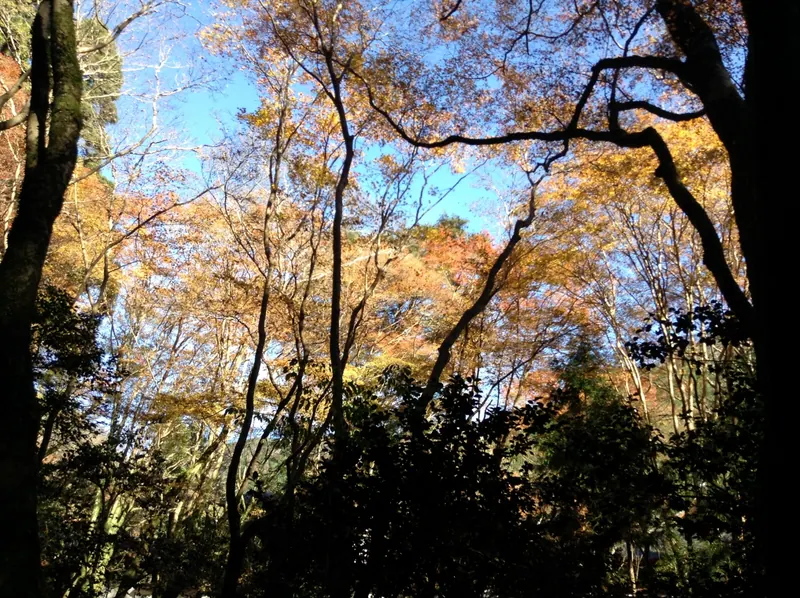 Kōzan-ji Temple